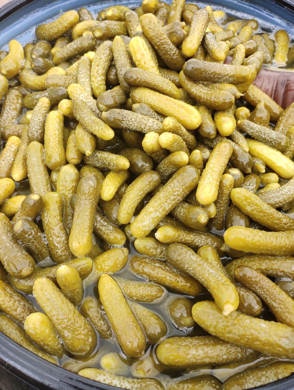 NBR AGRO EXPORTS - Album - Pickled Gherkins