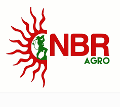 NBR AGRO EXPORTS - Logo